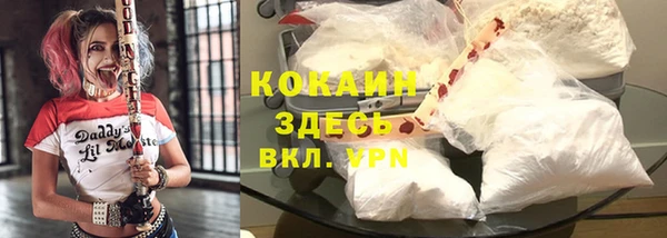 молекула духа Белокуриха