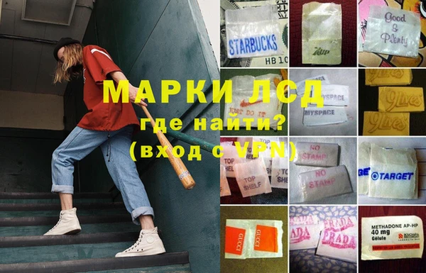 индика Богородск