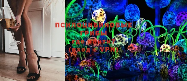 индика Богородск