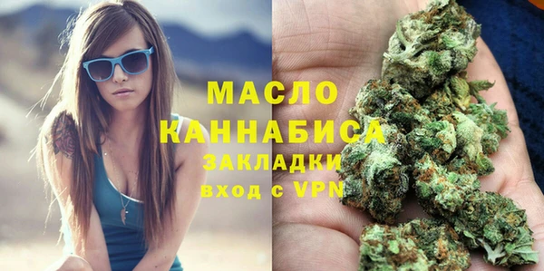индика Богородск