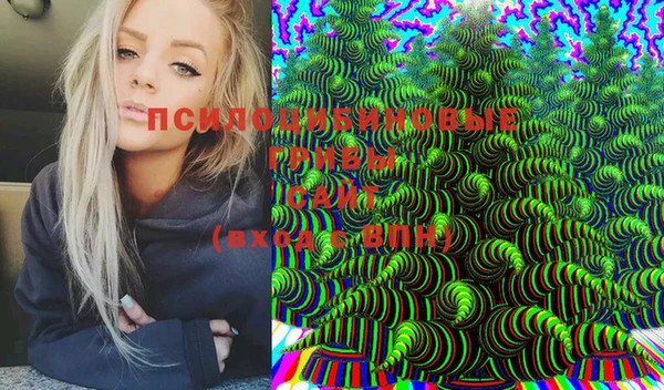 молекула духа Белокуриха