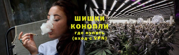 индика Богородск