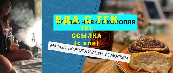 индика Богородск